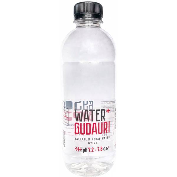 Вода Water + Gudauri минеральная природная негазированная 0.5л