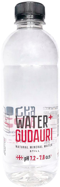 Вода Water + Gudauri минеральная природная негазированная 0.5л